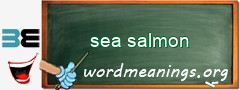 WordMeaning blackboard for sea salmon